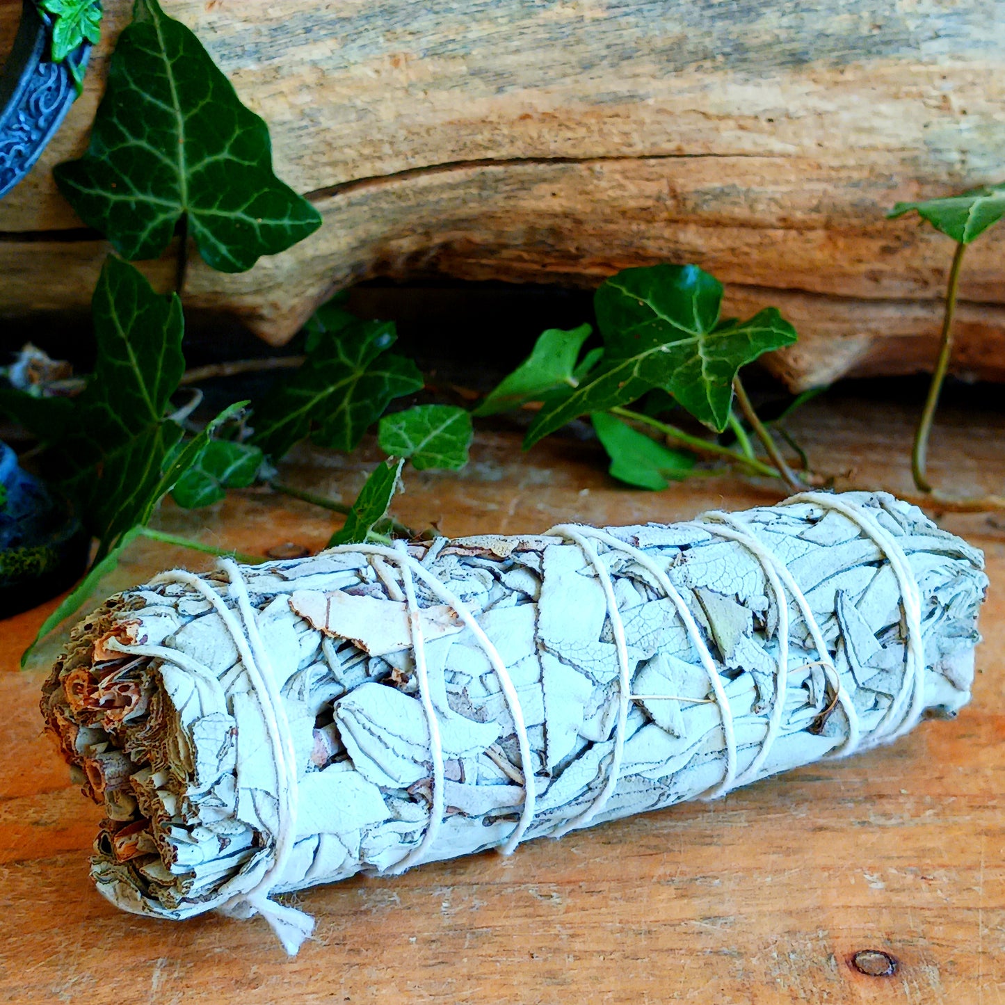 Bring a sense of calm and intention to your spiritual practice with our Pure White Sage Smudge Stick. Traditionally used in cleansing rituals, White Sage (Salvia apiana) is valued for its distinctive, earthy aroma and has long been associated with purification ceremonies and mindful practices.