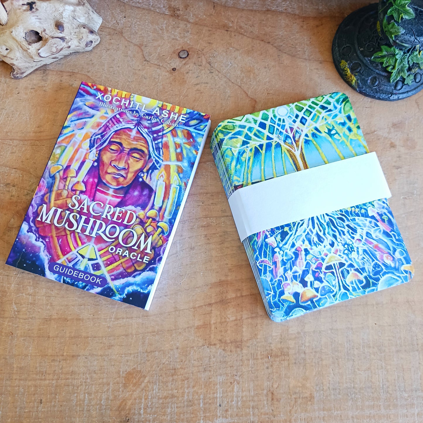 Step into the mystical world of mushroom wisdom with The Sacred Mushroom Oracle – Mushroom Medicine and Magic, a powerful 44-card oracle deck designed to guide your spiritual journey.