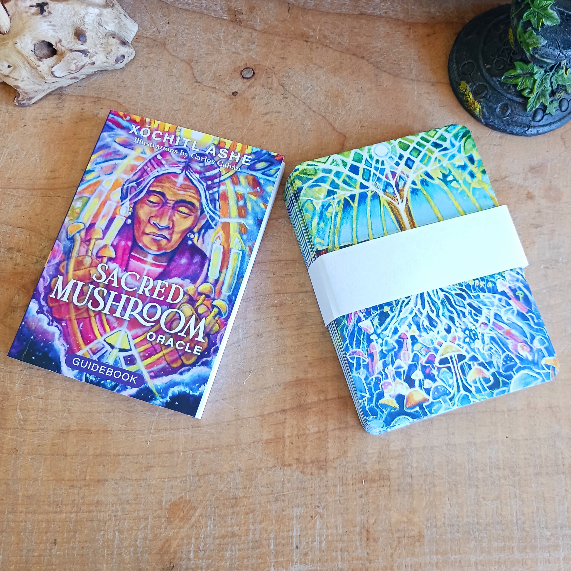Step into the mystical world of mushroom wisdom with The Sacred Mushroom Oracle – Mushroom Medicine and Magic, a powerful 44-card oracle deck designed to guide your spiritual journey.