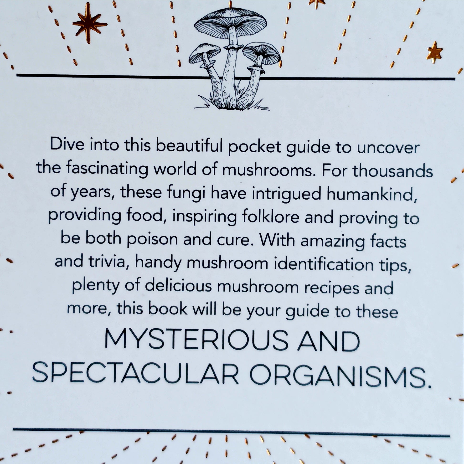 Dive into the fascinating world of mushrooms with this beautifully illustrated pocket guide. For thousands of years, fungi have captivated human imagination—serving as food, medicine, and myth.