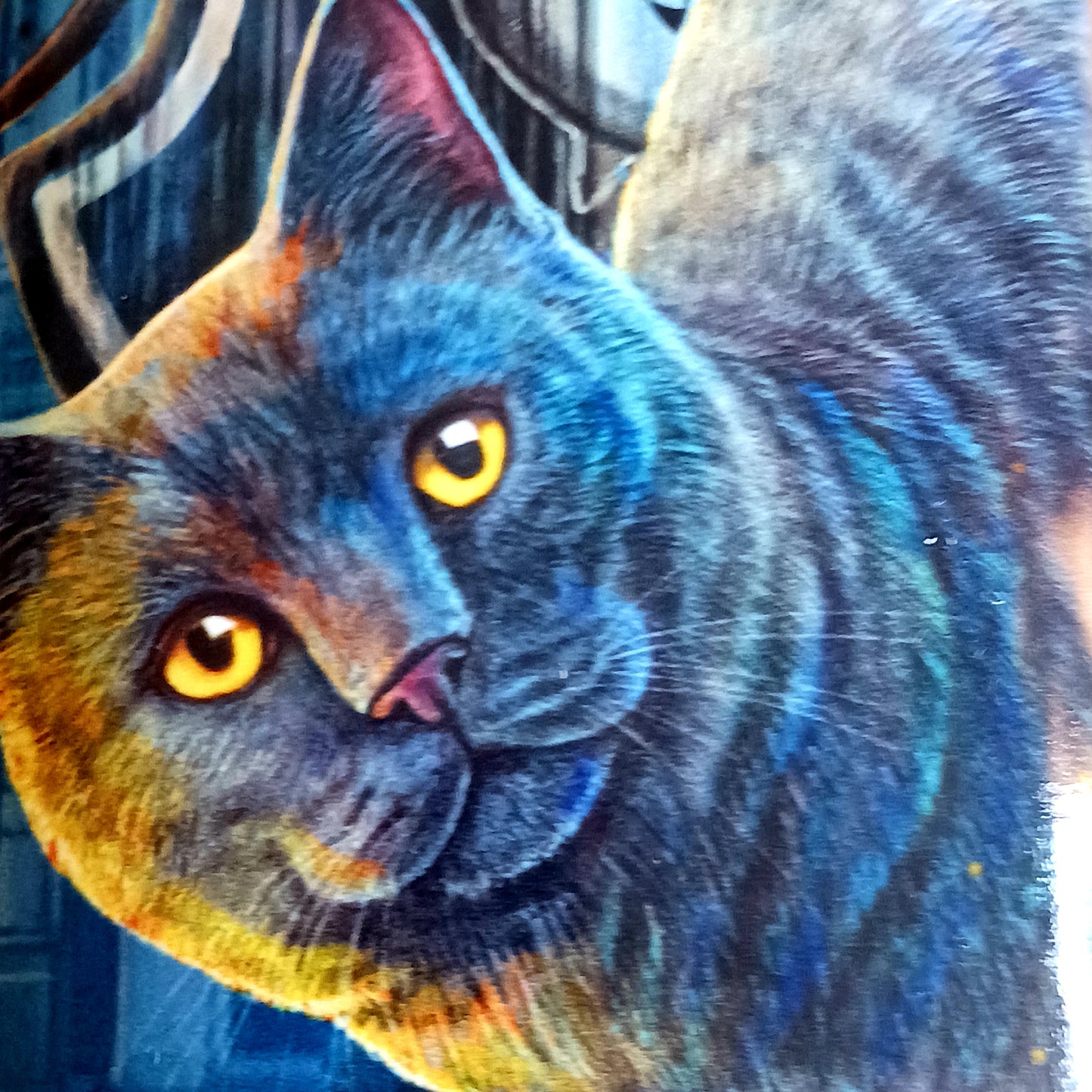 Protect your spectacles in enchanting style with this hard shell glasses case featuring Lisa Parker’s ‘Rusty Cauldron’ artwork. Designed to guard your eyewear from scratches, pressure, and everyday wear, this sturdy case is perfect for handbags, backpacks, or bedside storage.