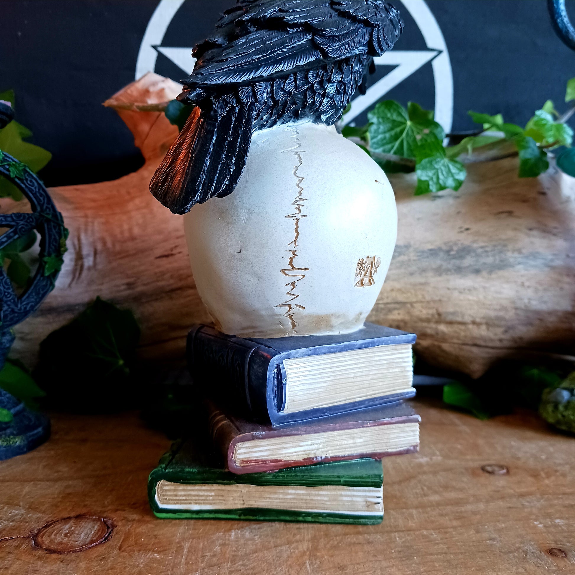 This detailed decorative sculpture from Alchemy England features a hand-painted cast resin human skull resting atop a stack of books, crowned by a black raven—a powerful symbol of memory, loss, and the supernatural. The raven’s presence echoes Poe’s famous refrain, “Nevermore,” capturing the dark gothic atmosphere that has fascinated readers for generations.