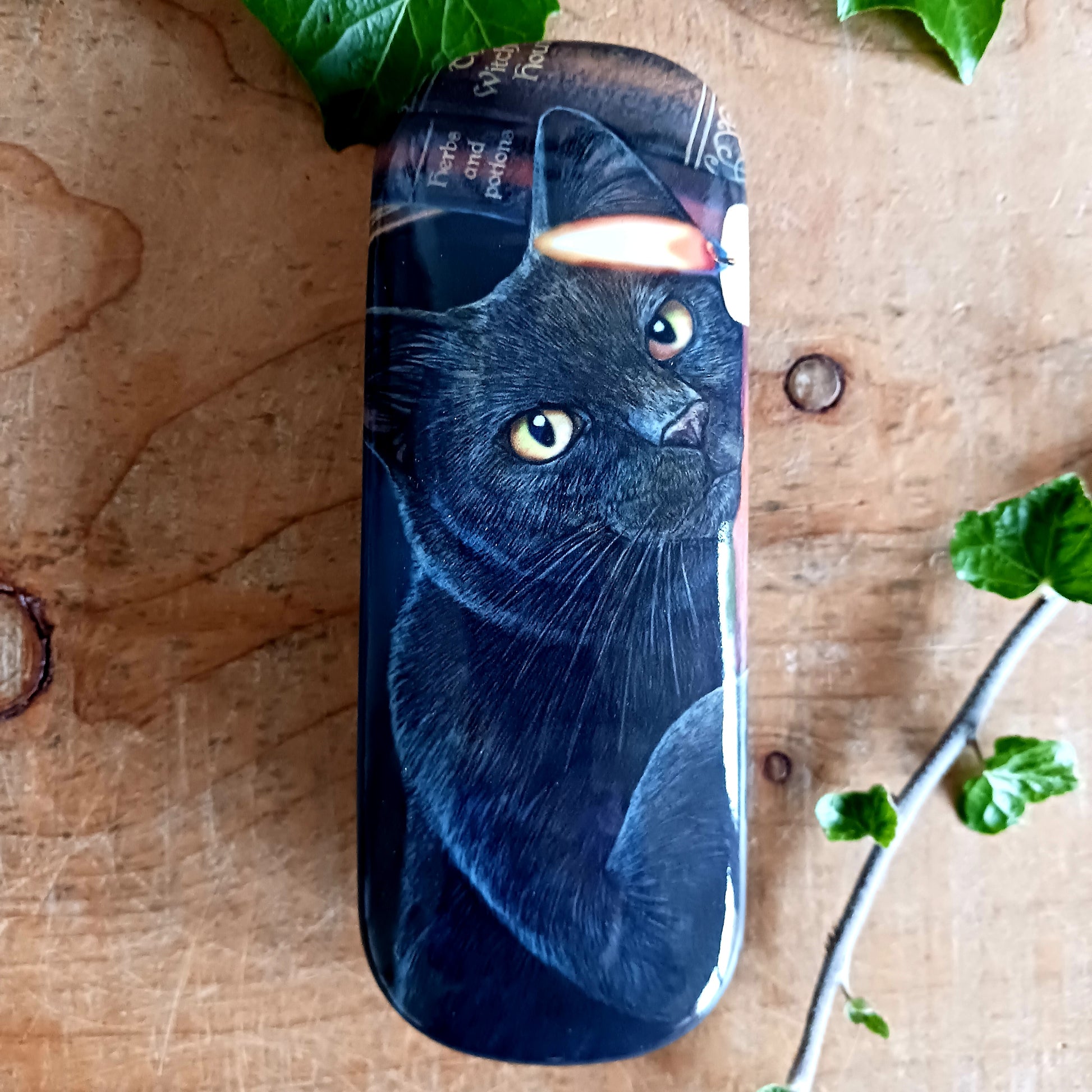 Protect your eyewear in spellbinding style with the Witching Hour Glasses Case by renowned fantasy artist Lisa Parker. Featuring the captivating Witching Hour artwork, this enchanting case is brought to life with vibrant, high-quality printing that truly stands out.