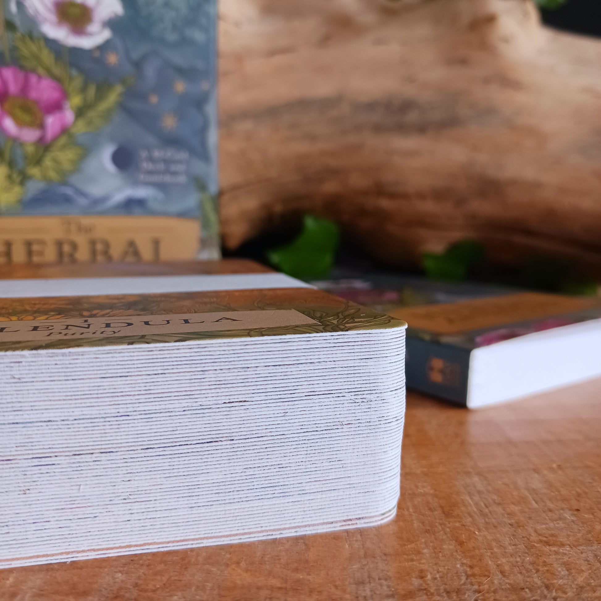 Unlock the wisdom of the natural world with The Herbal Astrology Oracle Card Deck by Adriana Ayales, a beautifully crafted spiritual tool designed to guide you toward healing, insight, and connection with plant medicine.