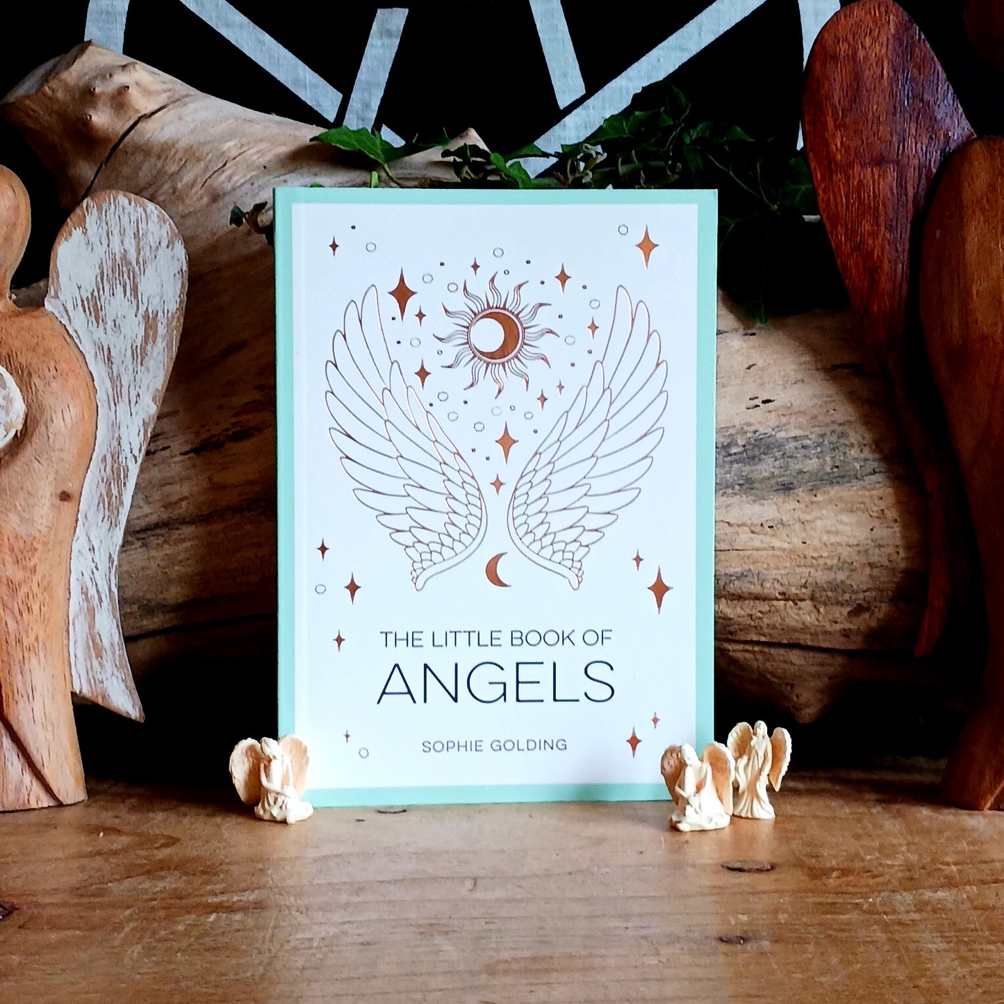 Have you ever felt a presence watching over you? It may be a divine messenger reaching out. Discover the Wisdom and Guidance of Angels is your introduction to the spiritual world of angels in all their forms. Learn how these celestial beings communicate, protect, and inspire us in everyday life.