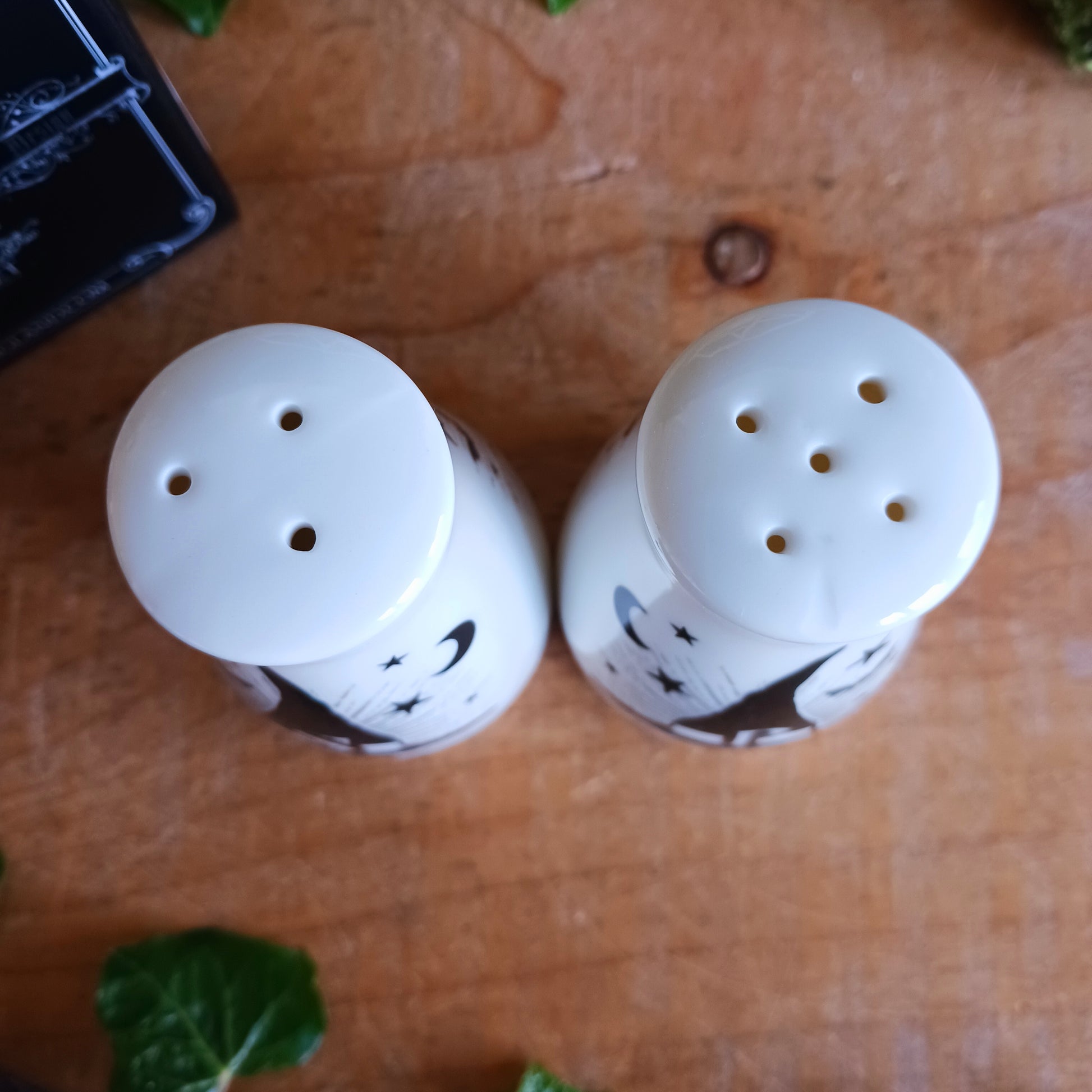 Bring dark elegance and mystical charm to your table with this Gothic-themed fine bone china salt and pepper shaker set by Alchemy England. Designed for lovers of witchy aesthetics and magical symbolism, this unique set features an engraved “S” for Spells and “P” for Potions, making it both functional and conversation-starting.